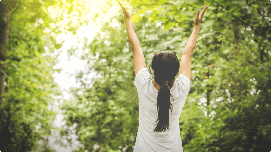 Mang thiên nhiên vào không gian sống để cải thiện tâm trạng